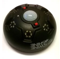 Ruokintavalo Villisika, Swine Shine