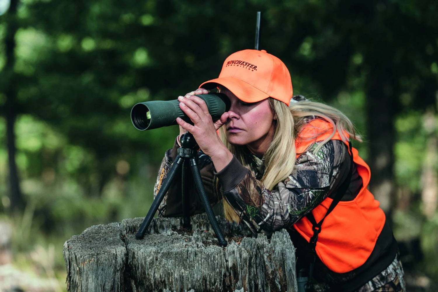 Swarovski STC 17-40x56 Kaukoputki - Image 2